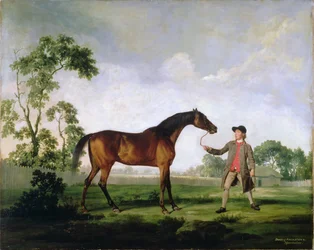 Der Bucht-Hengst Spectator des Herzogs von Ancaster, gehalten von einem Stallburschen, ca. 1762-5